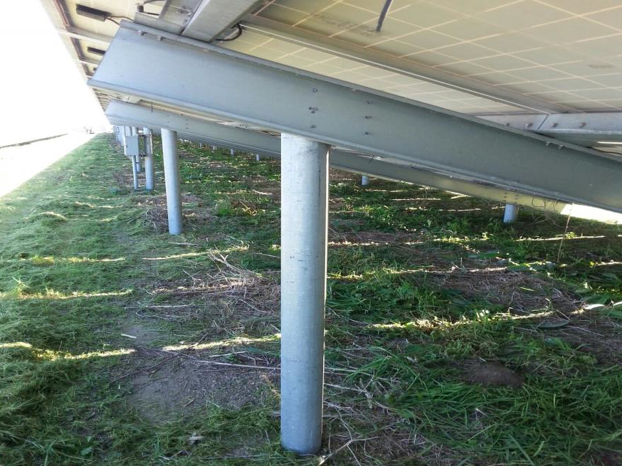 Weed Abatement and Solar Clearing