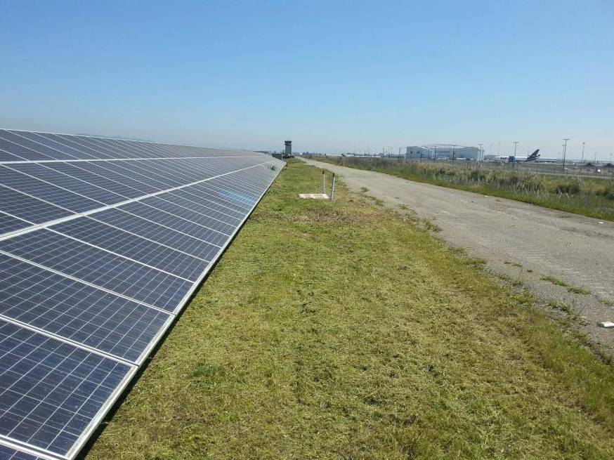 Weed Abatement and Solar Clearing