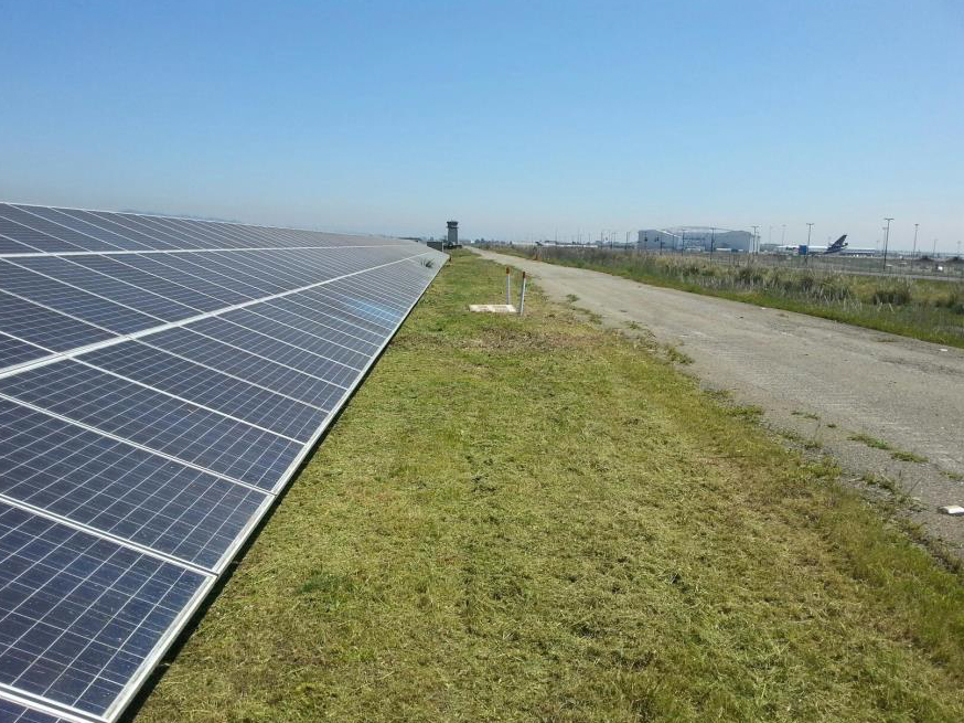 Weed Abatement and Solar Clearing